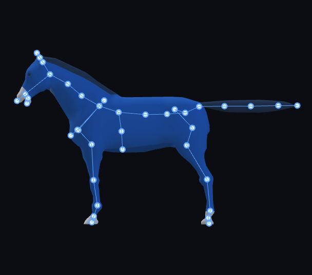 Horses skeleton template