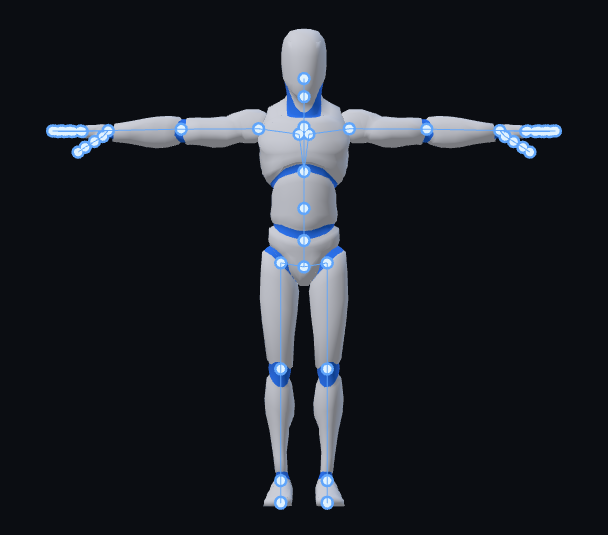 Humans skeleton template