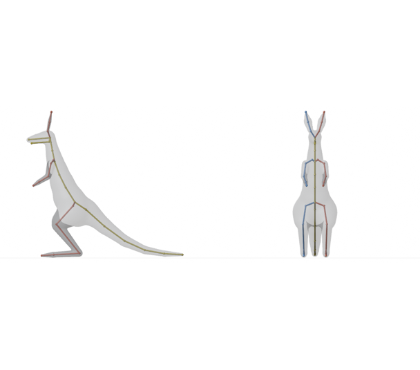 The afk.ai kangaroo skeleton from the side and the front: long back legs, short arms held in front, a spine up to the neck and head, two tall ears and a long tail resting on the ground