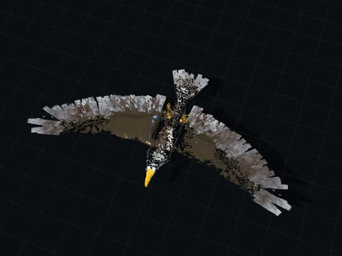 Eagle 3D model