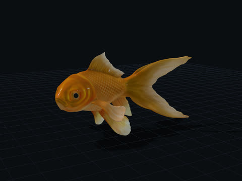 Goldfish 3D model