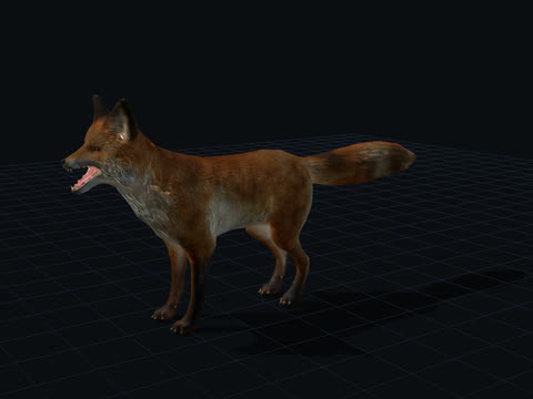 Red Fox 3D model