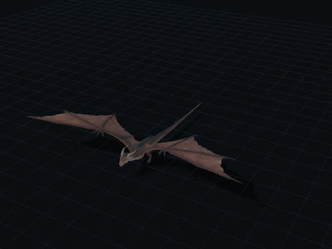 Winged Dragon 3D model